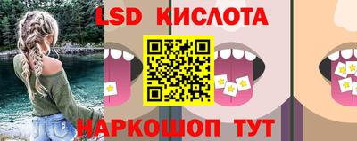 spice Камышлов