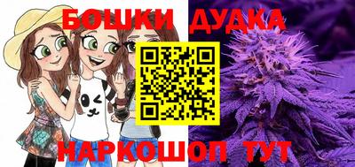 spice Камышлов